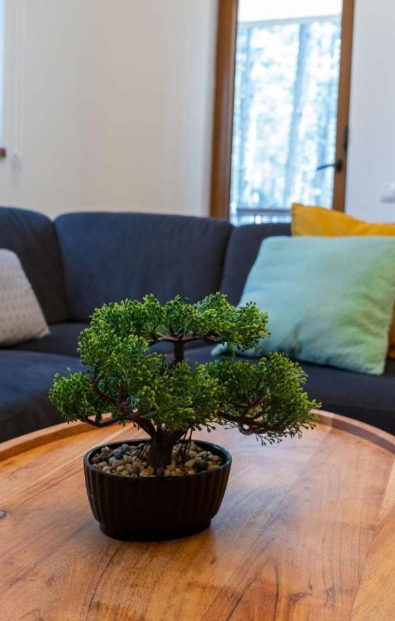 Apartman Pavle ซลาตีบอร์ ภายนอก รูปภาพ