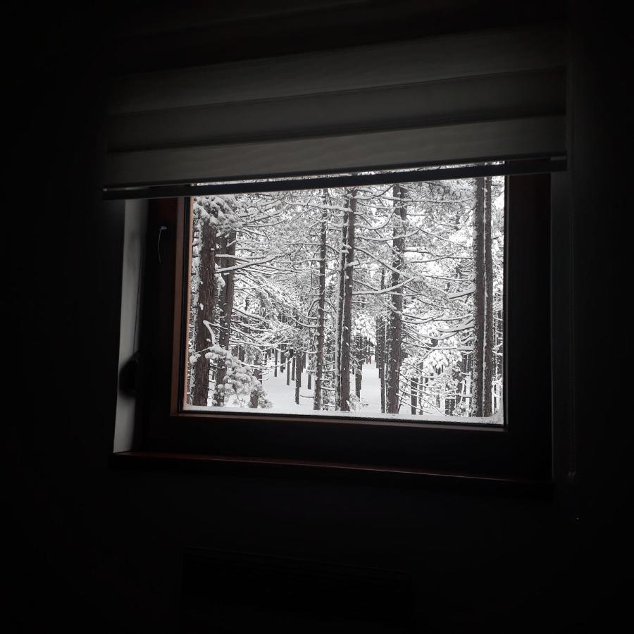 Apartman Pavle ซลาตีบอร์ ภายนอก รูปภาพ